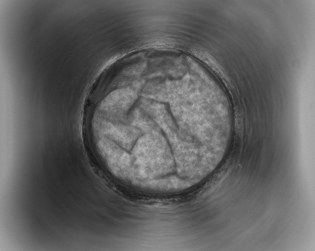 X0000096220434200802151525