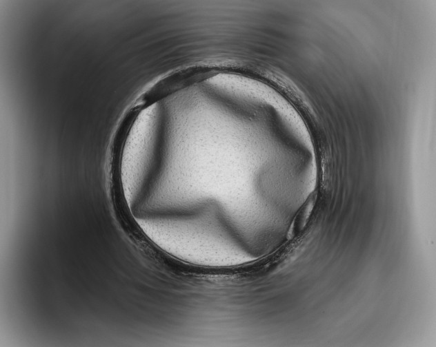 X0000096220436200802151525