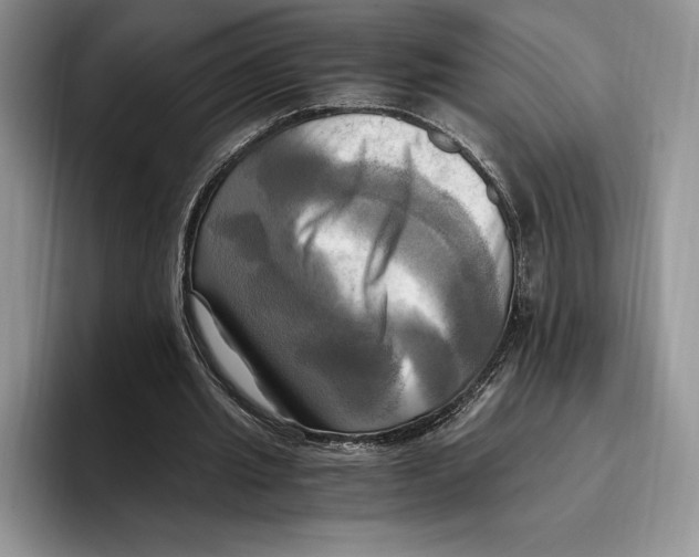 X0000096220437200802151525