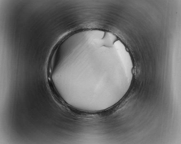 X0000096220438200802151525