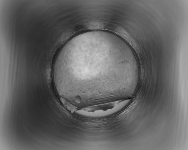 X0000096220441200802151525