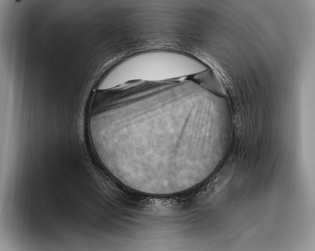 X0000096220442200802151525