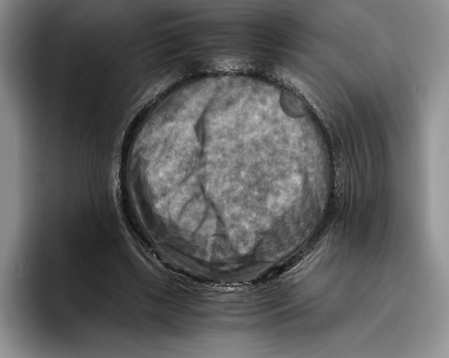 X0000096220443200802151525