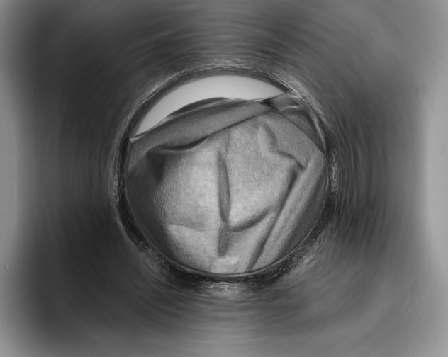 X0000096220444200802151525