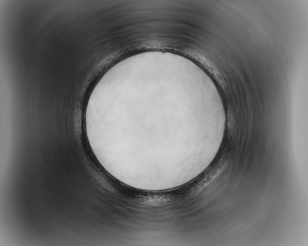 X0000096220445200802151525