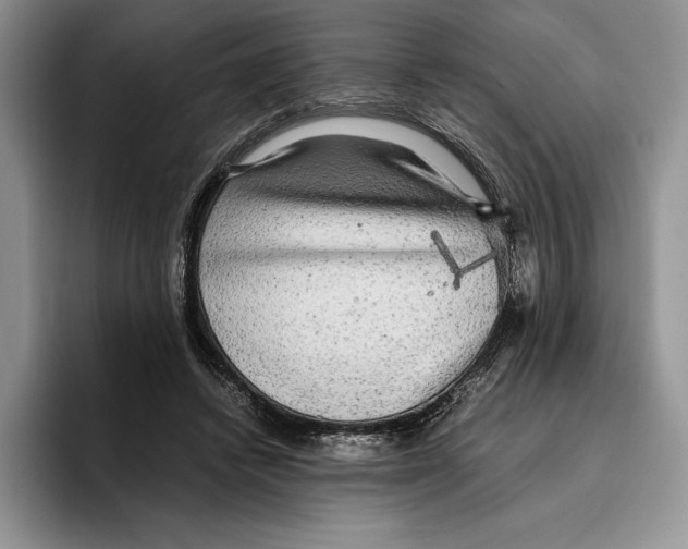 X0000096220448200802151525