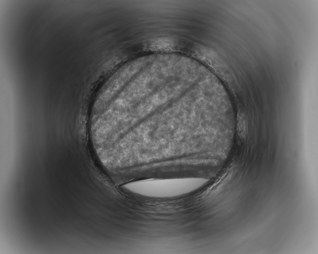 X0000096220449200802151525