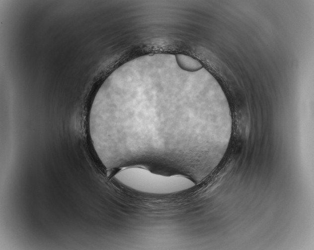 X0000096220450200802151525