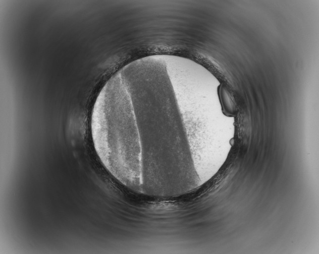 X0000096220451200802151525