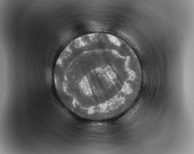 X0000096220453200802151525