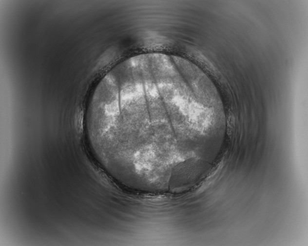 X0000096220454200802151525