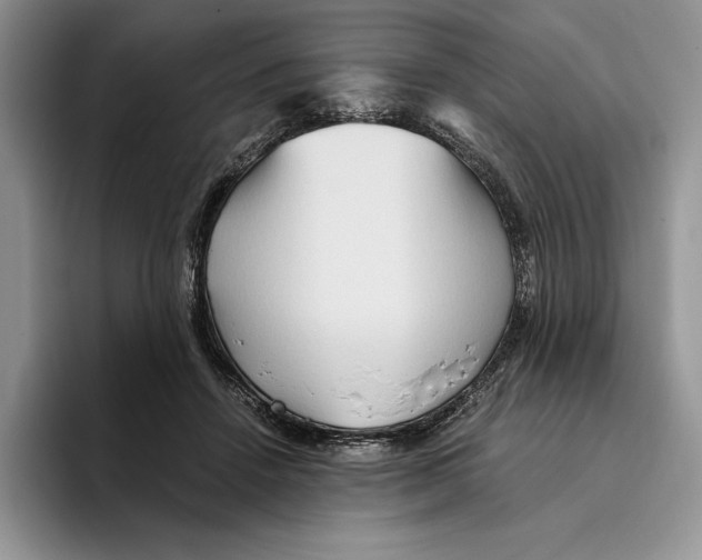 X0000096220456200802151525