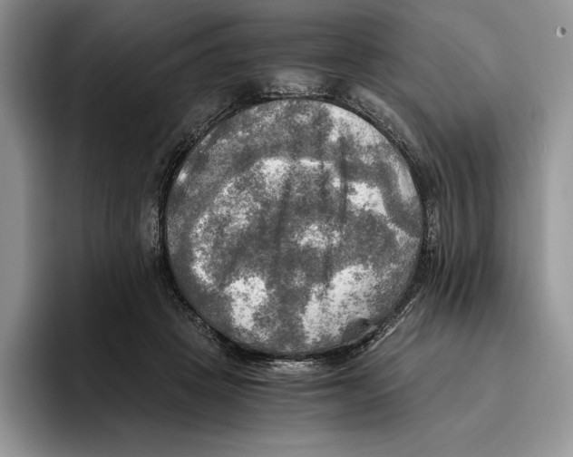 X0000096220457200802151525