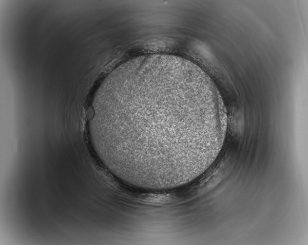 X0000096220458200802151526