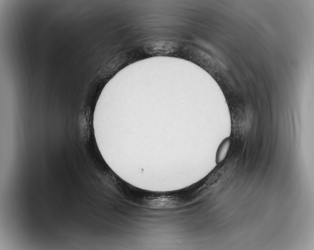 X0000096220460200802151526