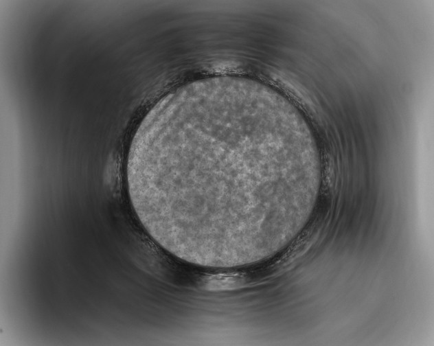 X0000096220461200802151526