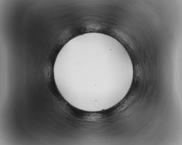 X0000096220463200802151526