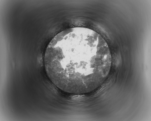 X0000096220465200802151526