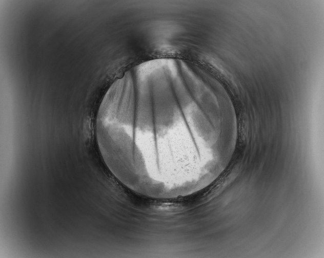 X0000096220467200802151526