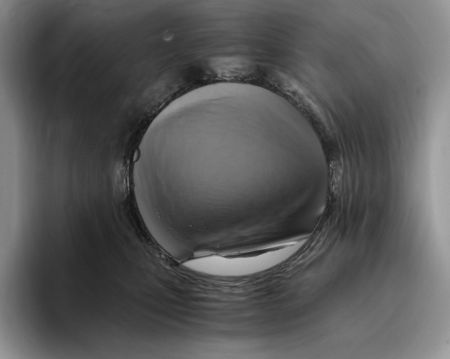 X0000096220471200802151526