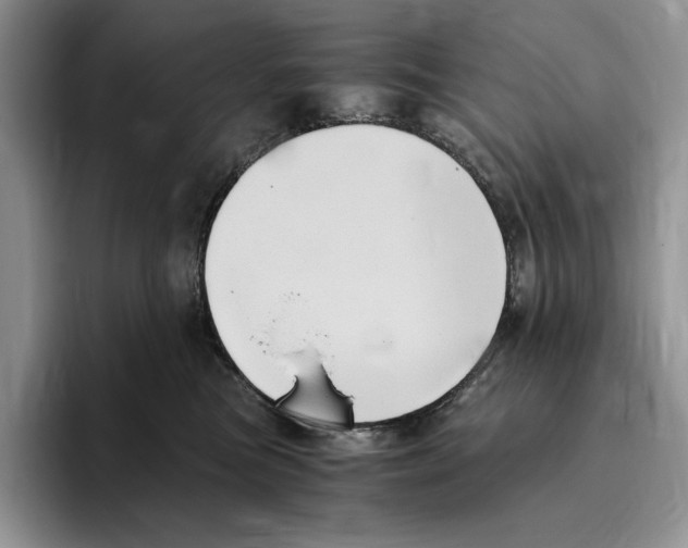 X0000096220473200802151526