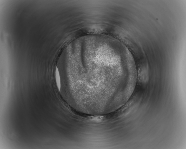 X0000096220474200802151526