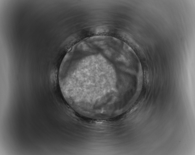 X0000096220475200802151526