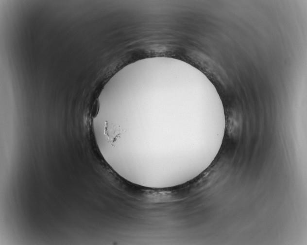 X0000096220476200802151526