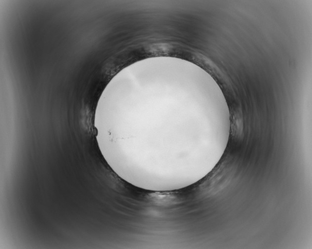 X0000096220477200802151526