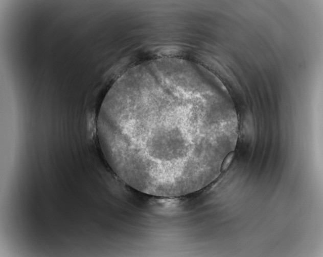 X0000096220478200802151526