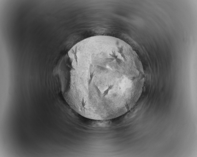 X0000096220479200802151526
