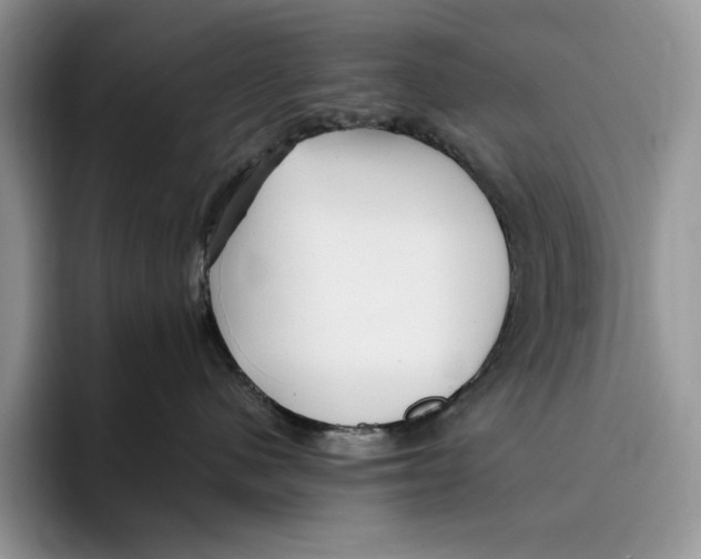 X0000096220480200802151526