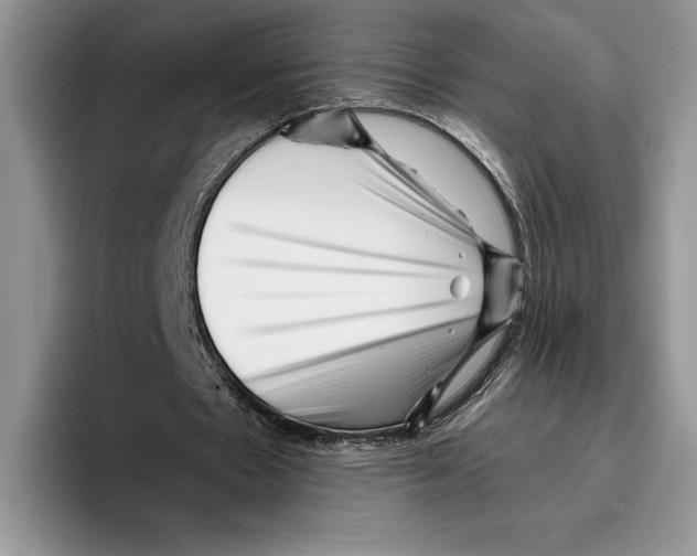 X0000096220481200802151525