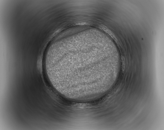 X0000096220482200802151525