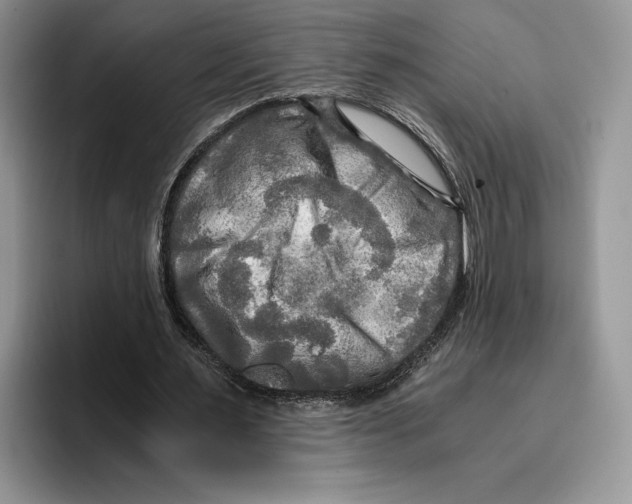 X0000096220483200802151525