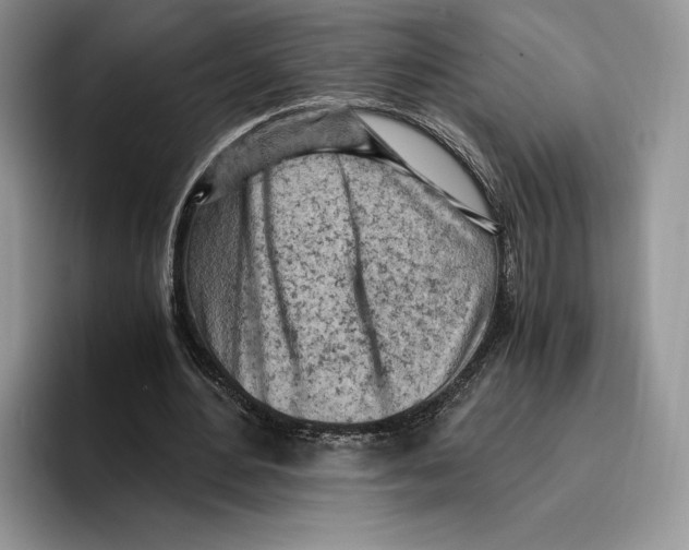 X0000096220484200802151525