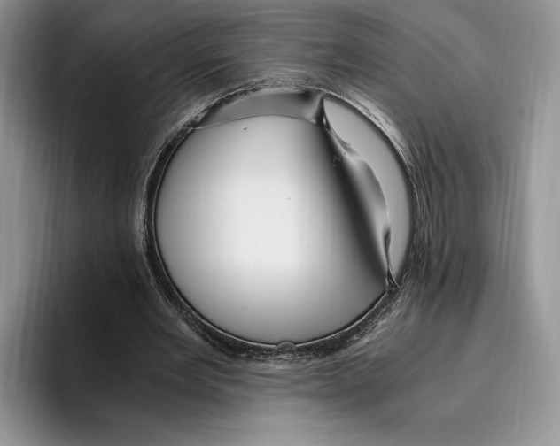 X0000096220485200802151525