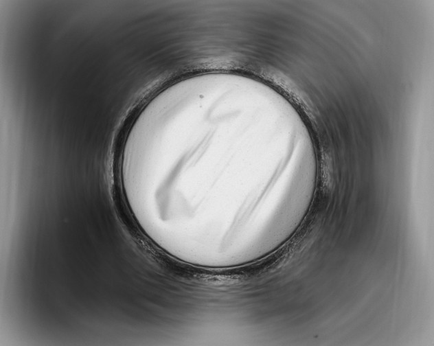 X0000096220486200802151525