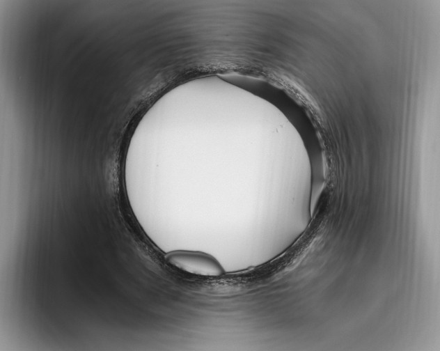 X0000096220489200802151525