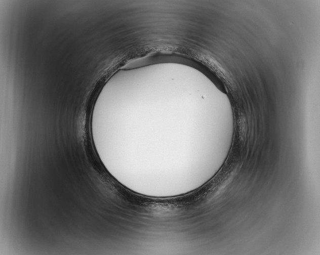 X0000096220490200802151525