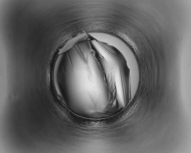 X0000096220493200802151525