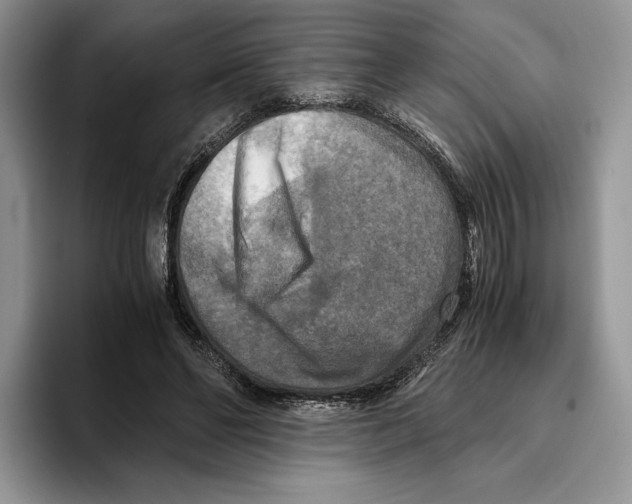 X0000096220494200802151525