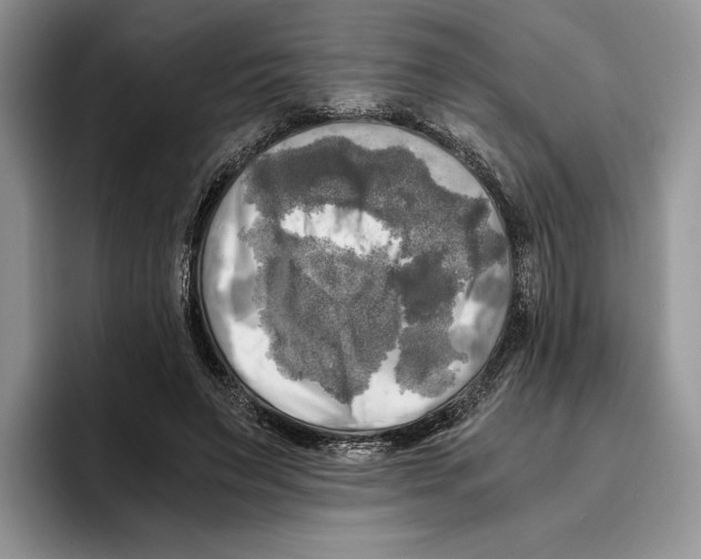 X0000096220495200802151525