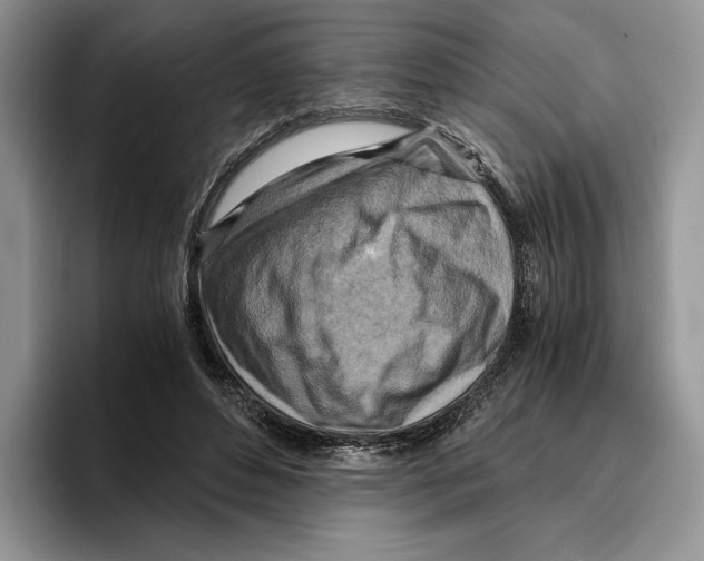 X0000096220496200802151525