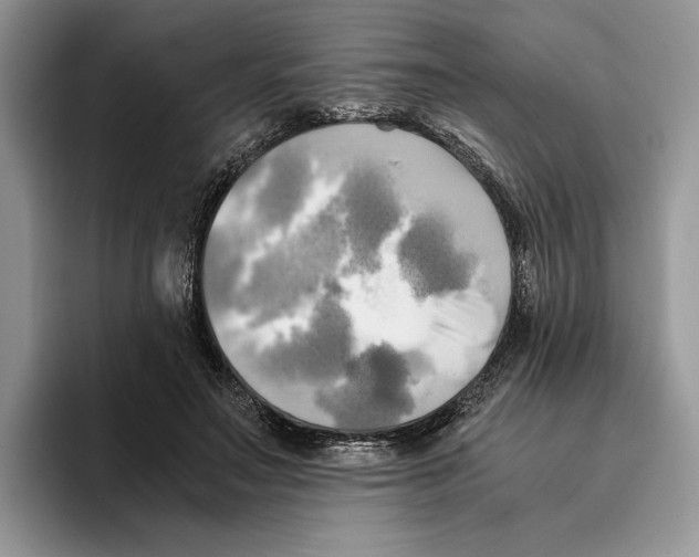 X0000096220499200802151525