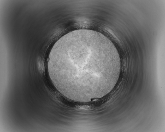 X0000096220500200802151525