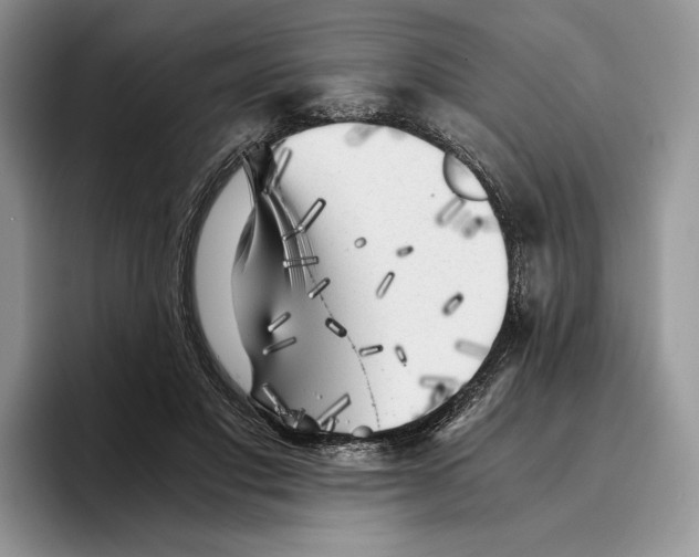 X0000096220501200802151525