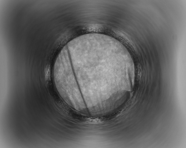 X0000096220502200802151525