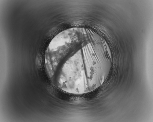 X0000096220503200802151525