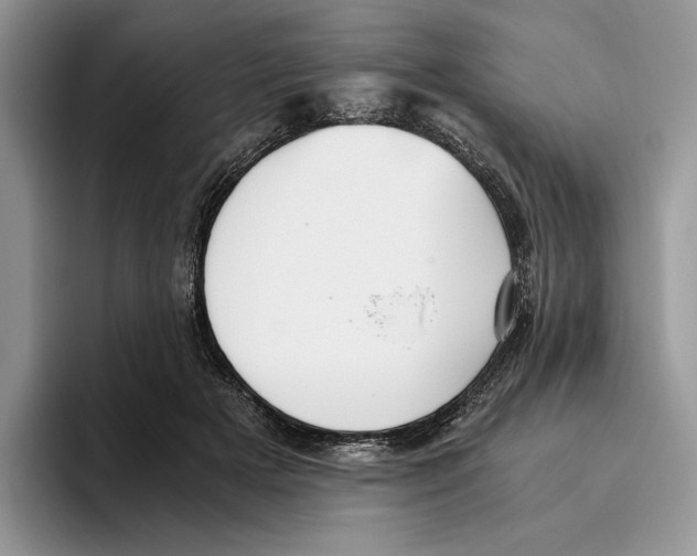 X0000096220505200802151525